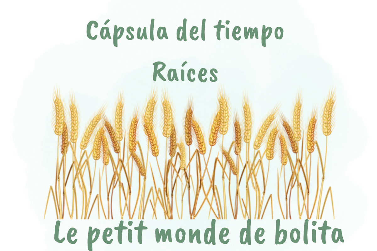 Cápsula del tiempo raíces