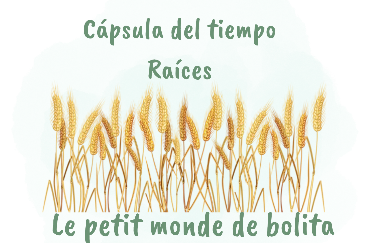 Cápsula del tiempo raíces