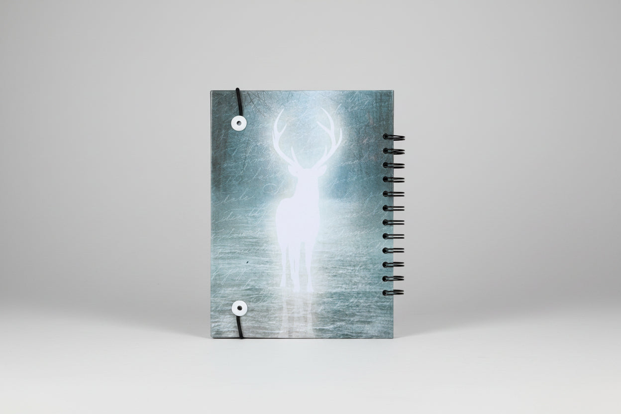 Agendas personalizadas